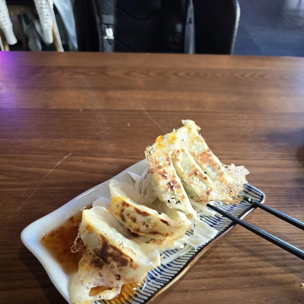 Tori Gyoza