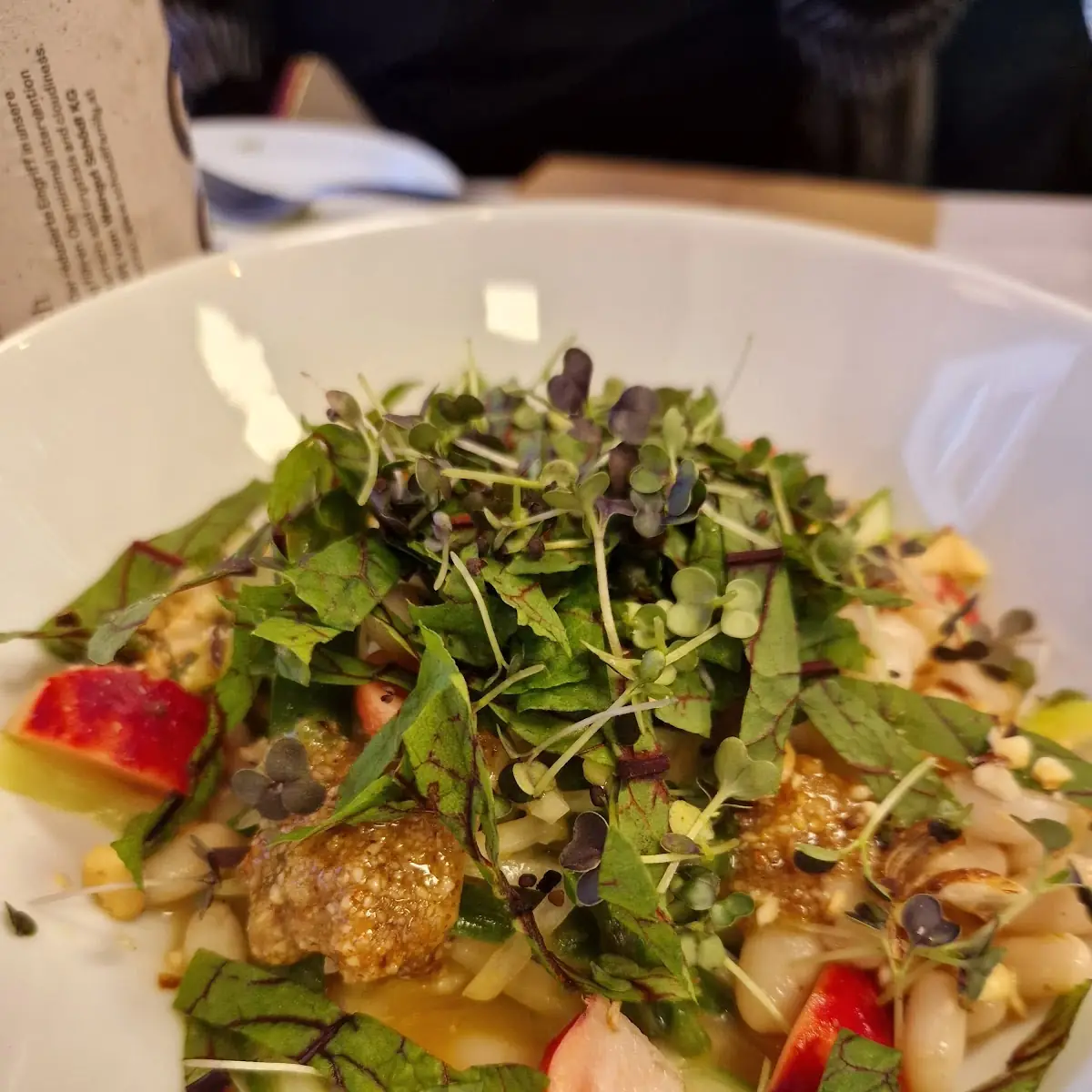 Kohlrabiceviche Haselnuss Blutampfer