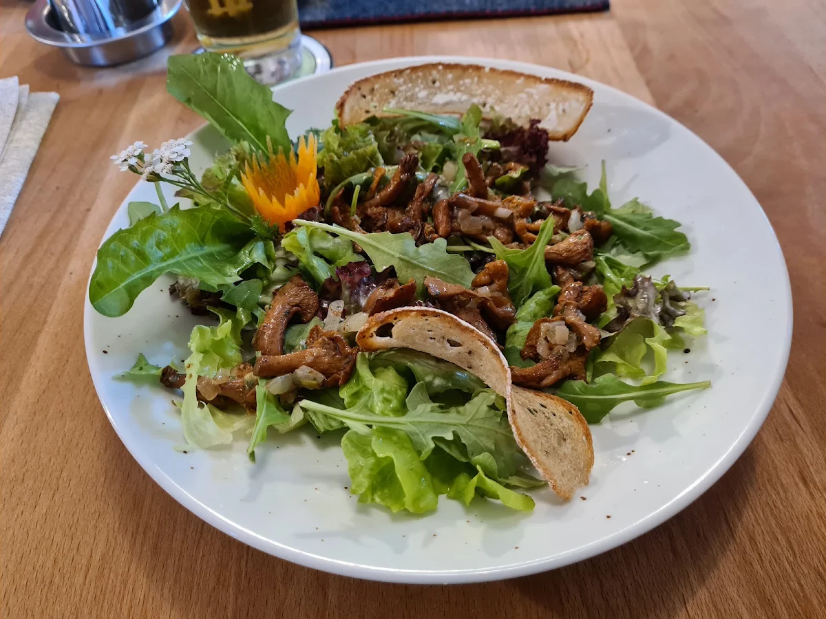 Salat Mit Frischen Pfifferlingen