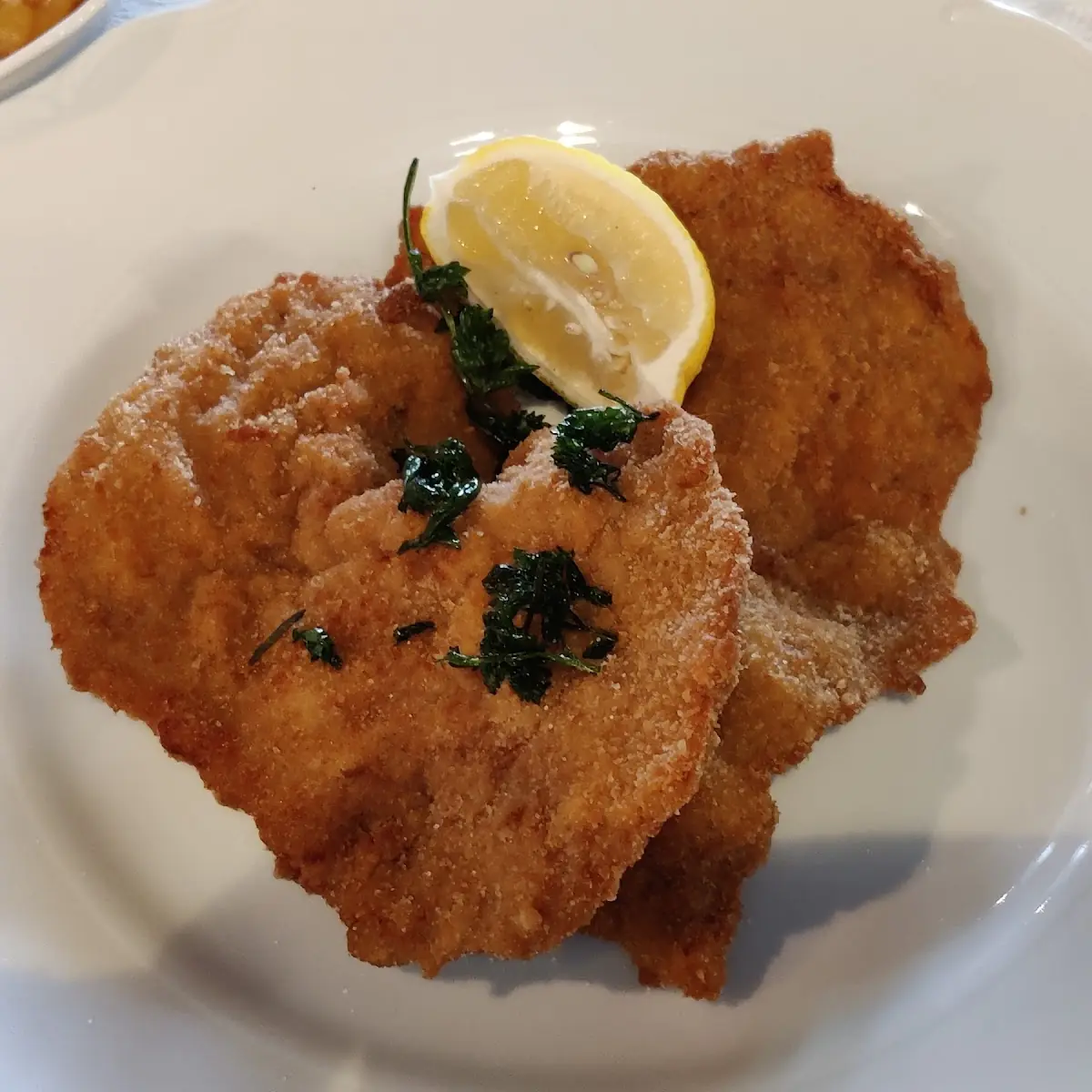 Fledermaus Es Ist Ein Schnitzel