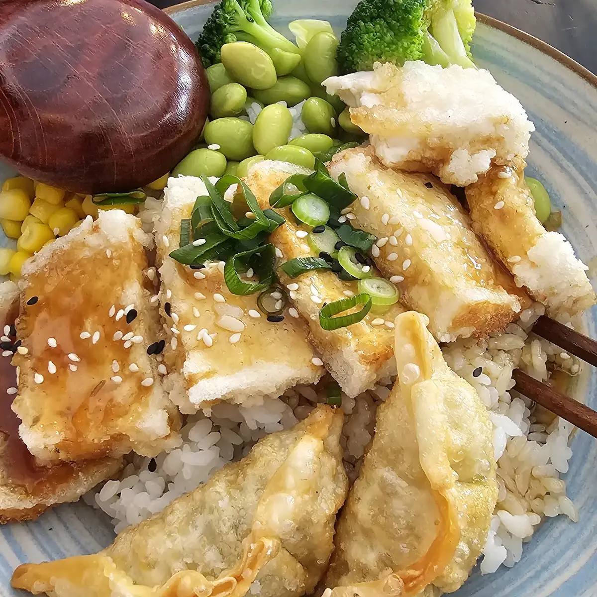 Gyoza Mit Tofu
