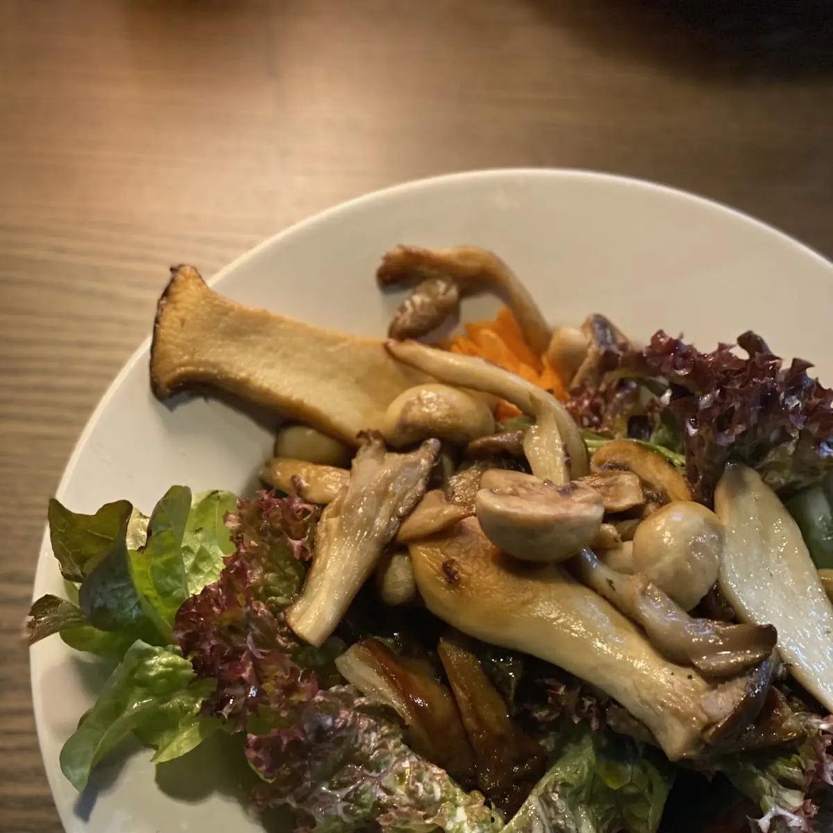 Gemischter Salat Mit Pilzen