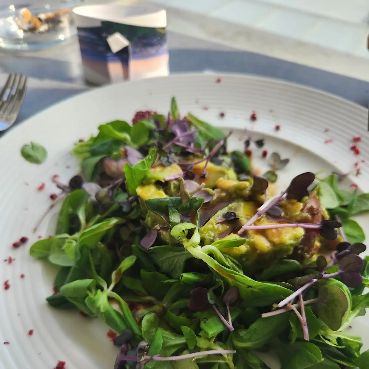 Avocado Salad