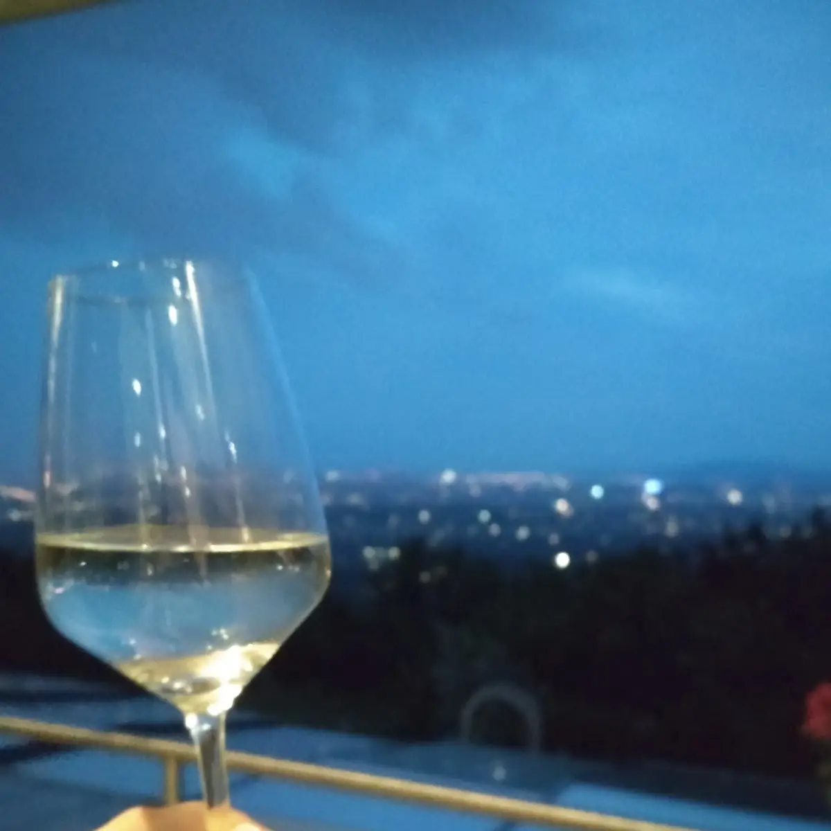 Spritzer, Skyline Lounge Restaurant Kahlenberg