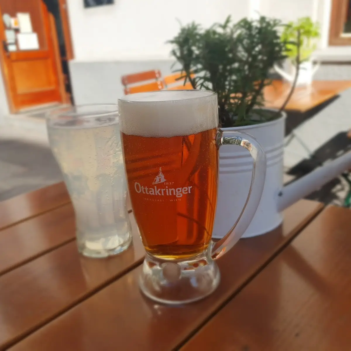 Bier