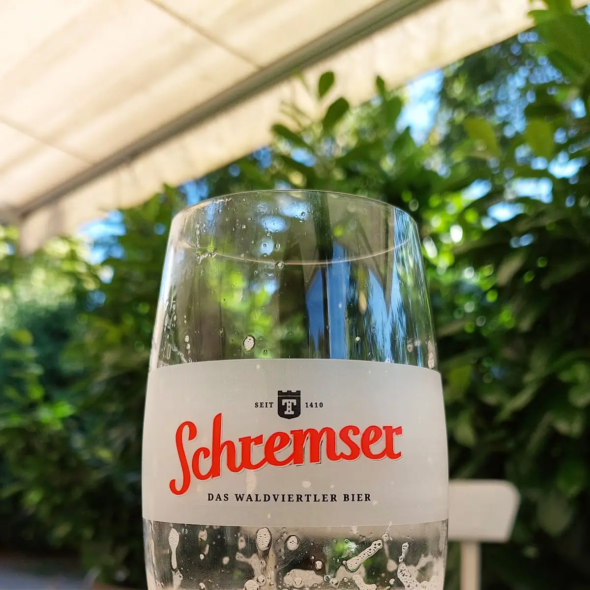 Bier