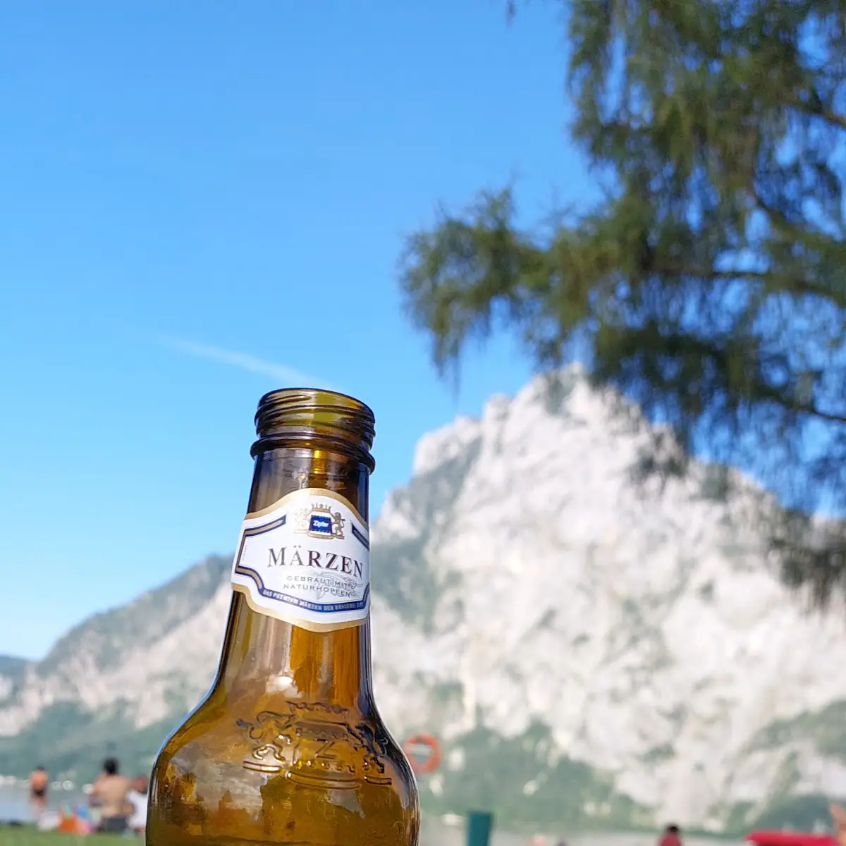 Bier