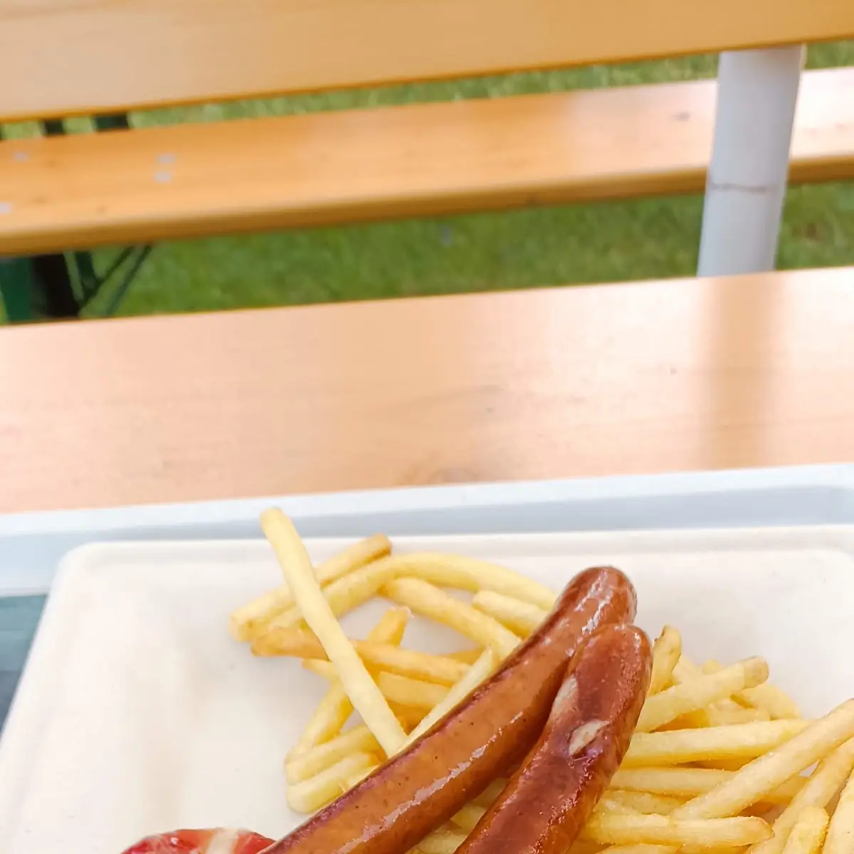 Traunseer Spezial Mit Pommes