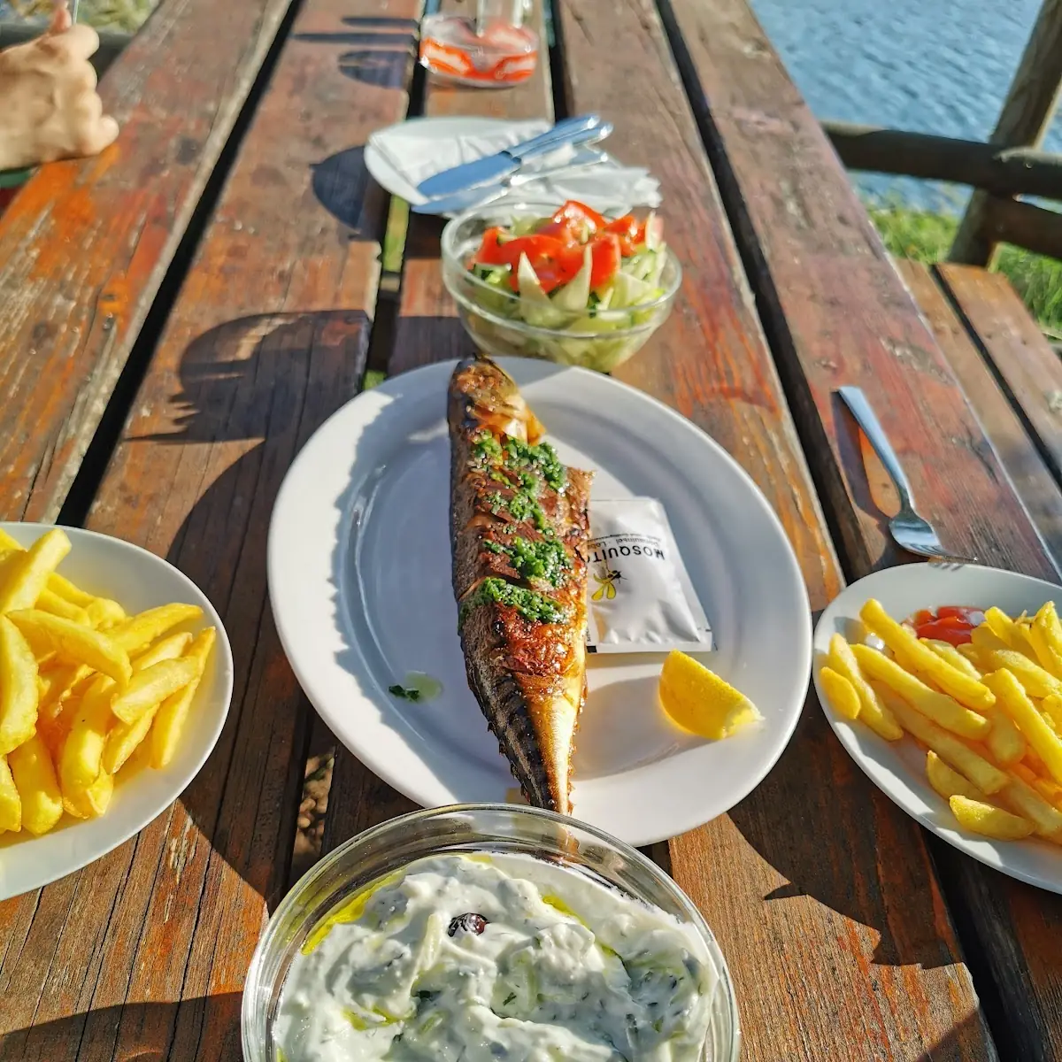 Steckerl Fisch Tzatziki Gemischter Salat Pommes