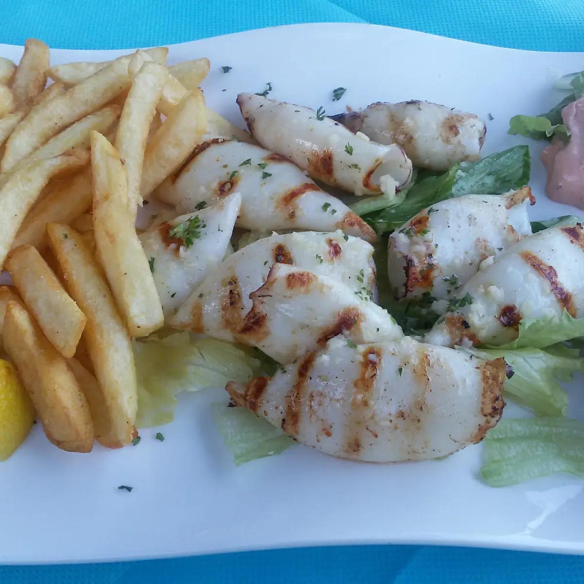 Gegrillte Calamari