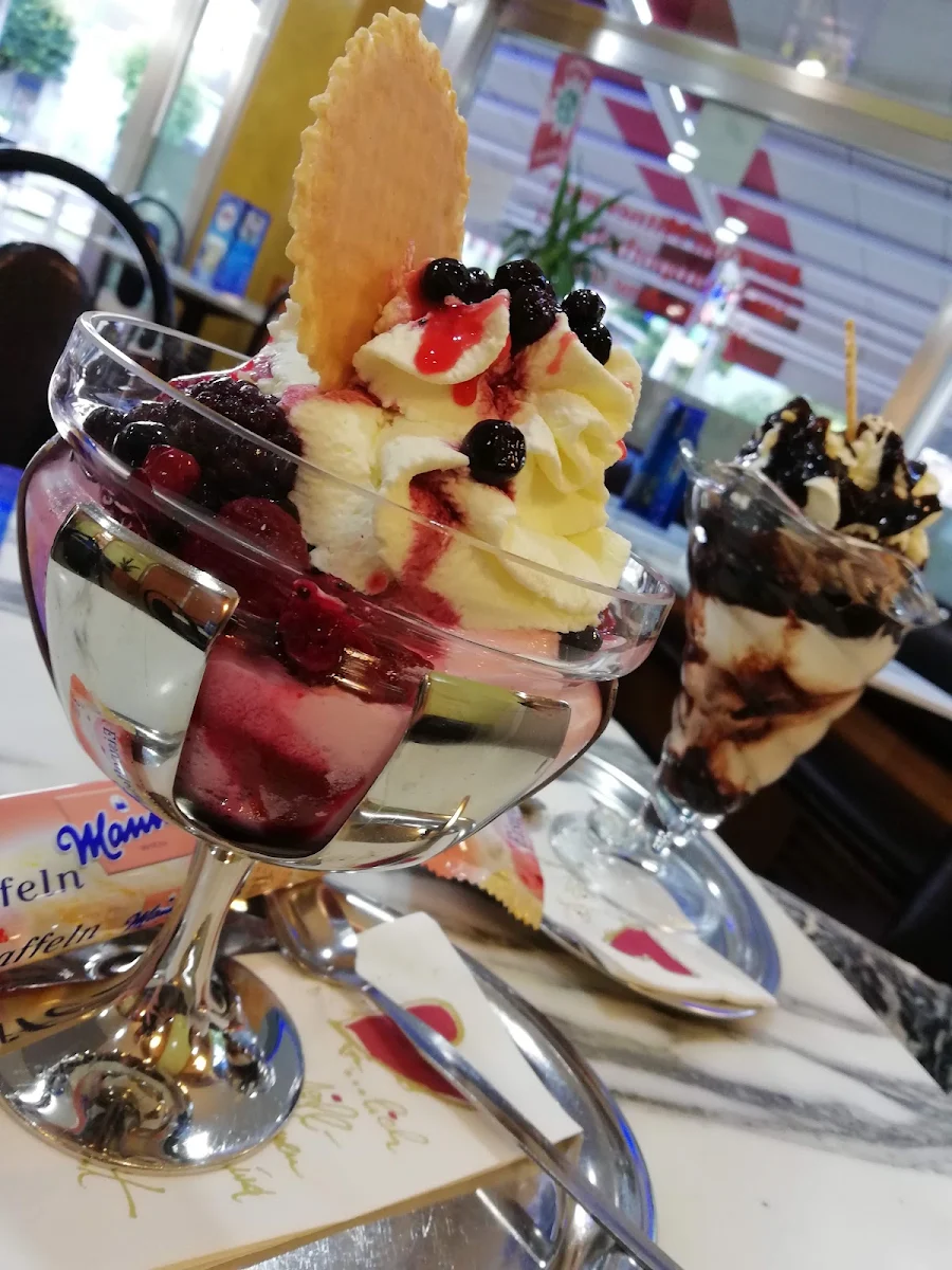 Dolce Cup Und Maronita