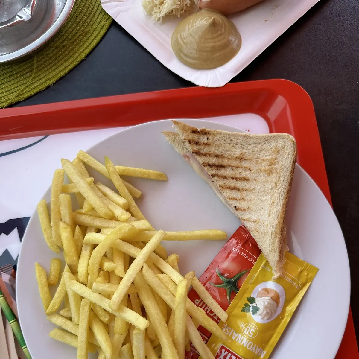 Ham and Cheese Toasted Sandwich