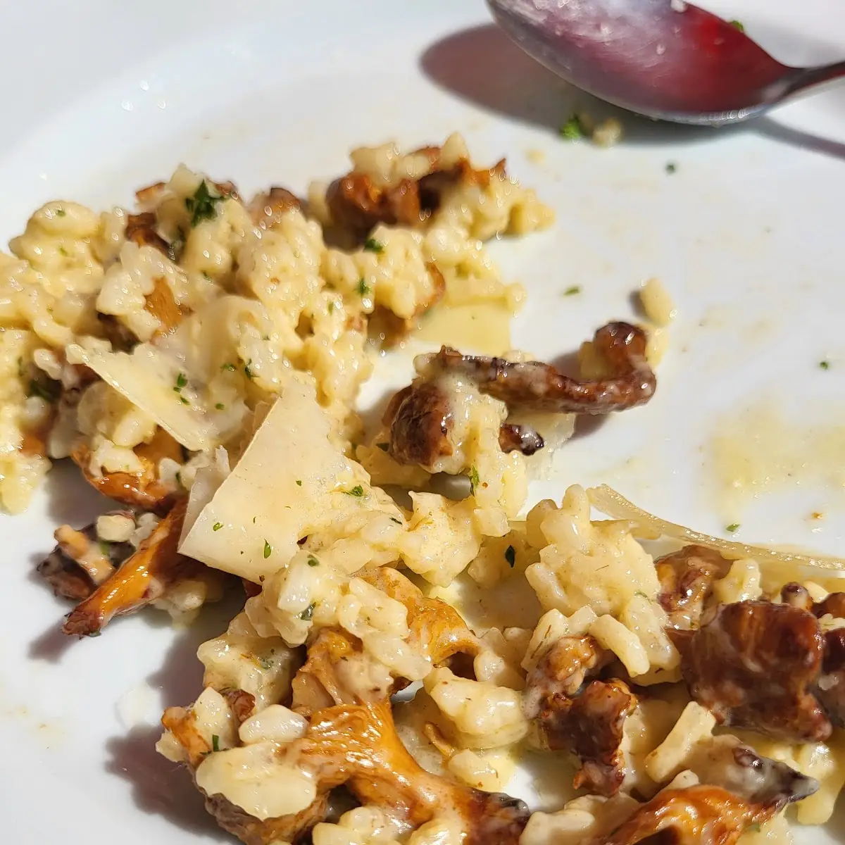 Risotto Mit Eierschwammerln