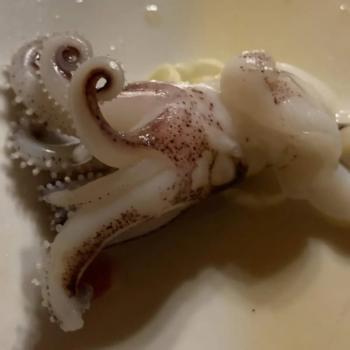 Gebratener Tintenfisch