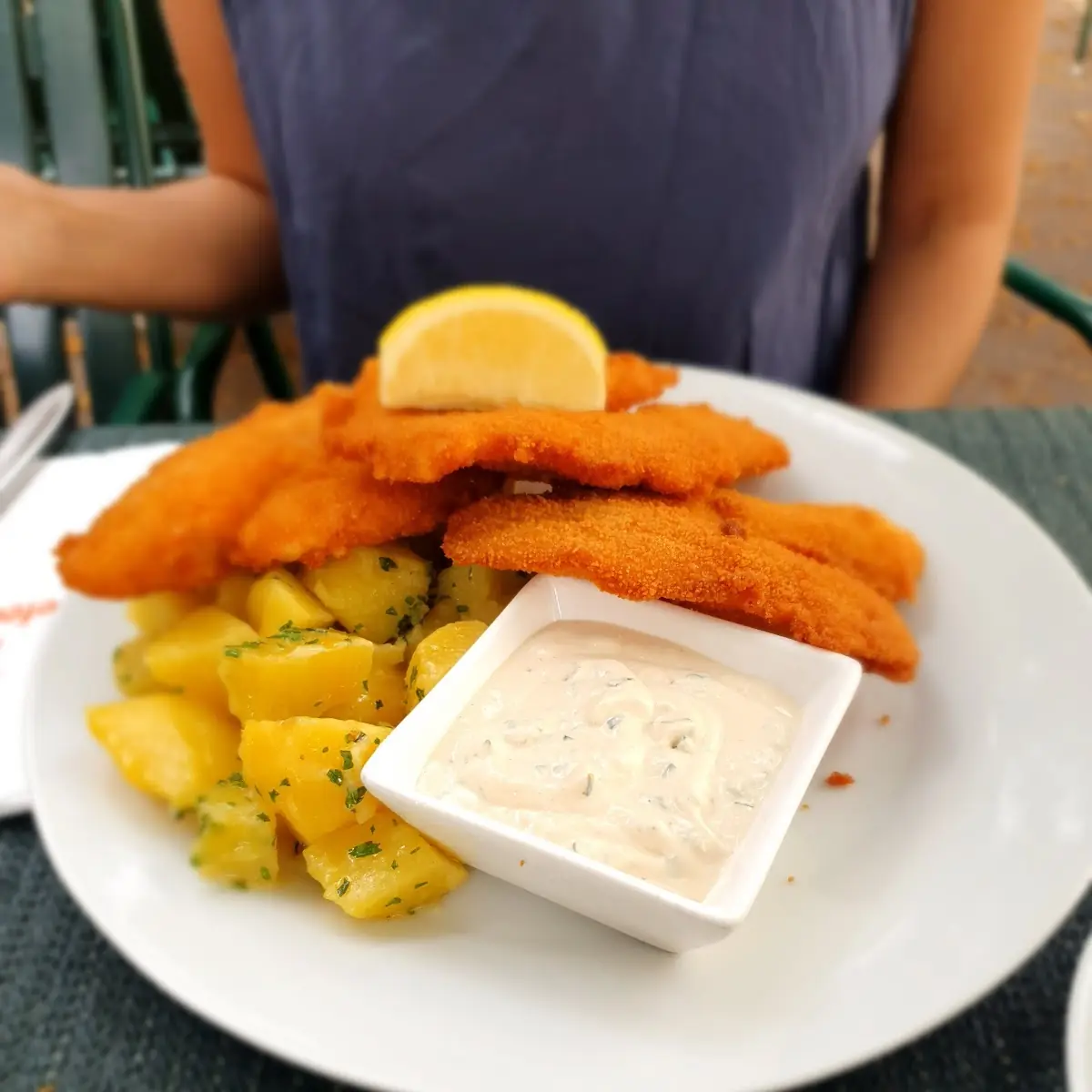 Gebackene Barschfilets 2stk
