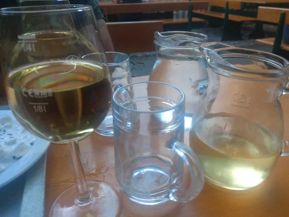 Housewein Grüner Vetliner