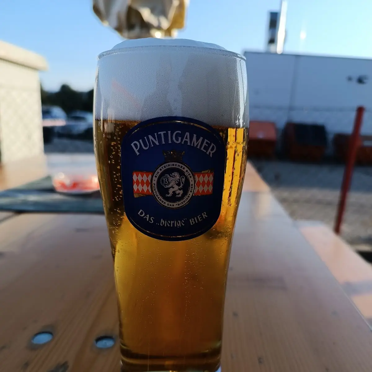 Bier