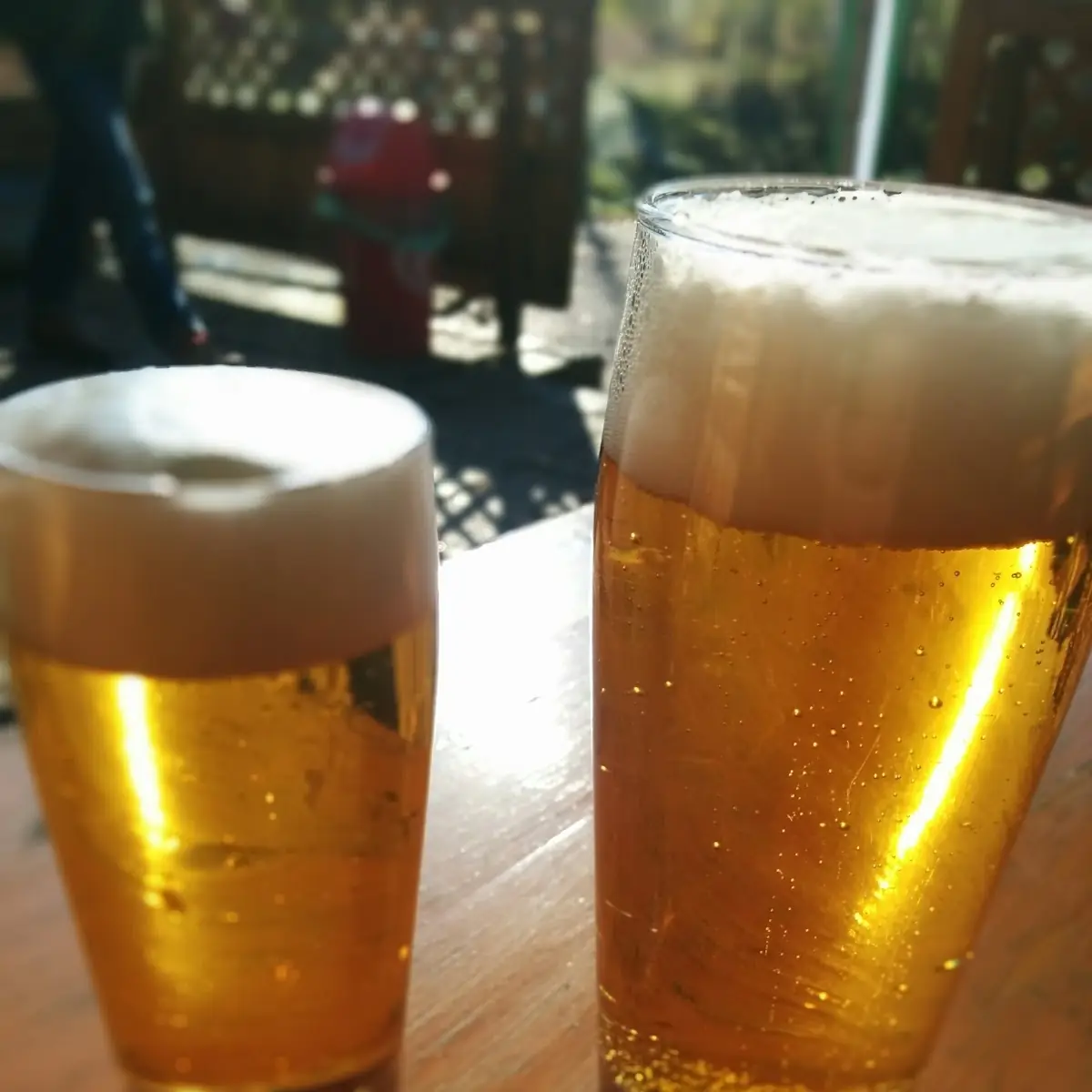 Bier
