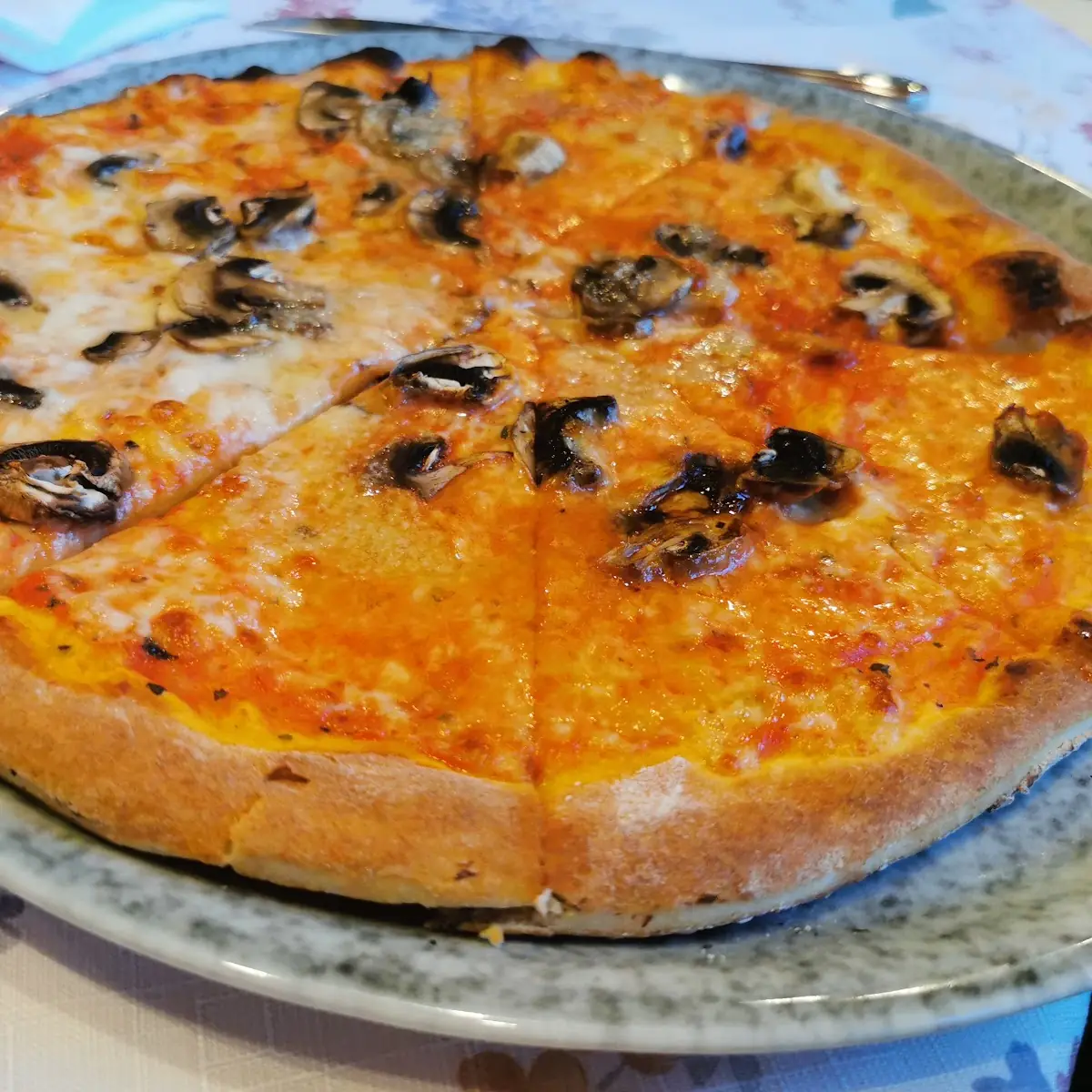 Pizza Funghi