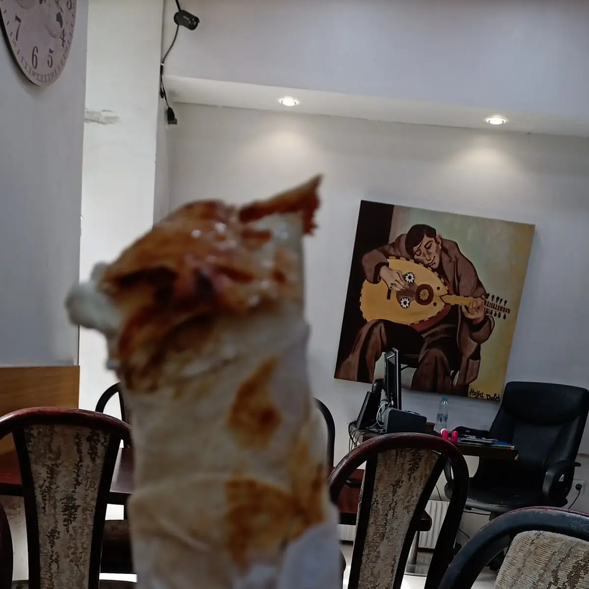 Shawarma Sandwich
