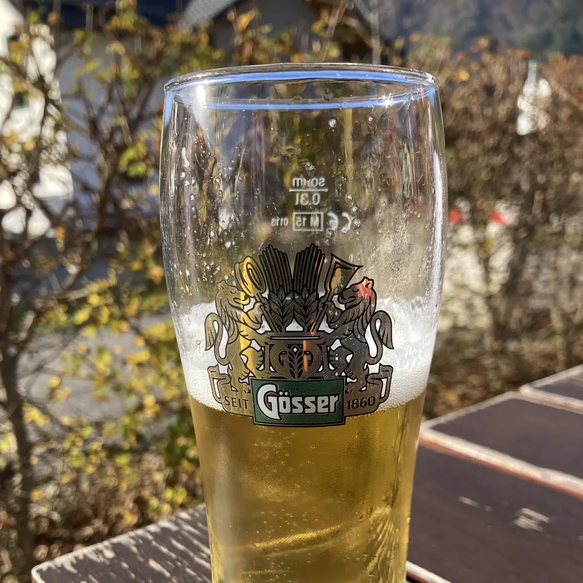 Highlights, Käfers am Radweg