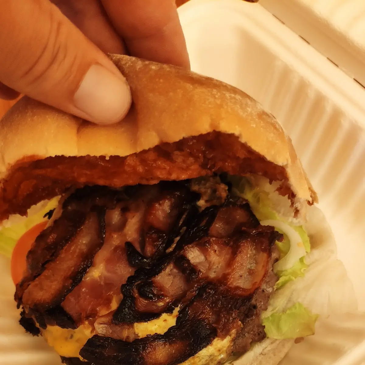 Aberdeen Angus Bürger 170