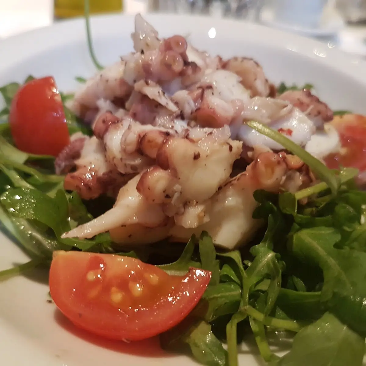 Octopus Salat