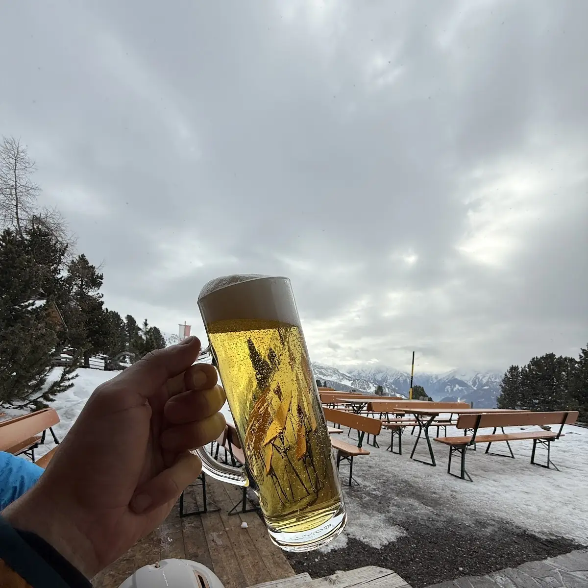Bier