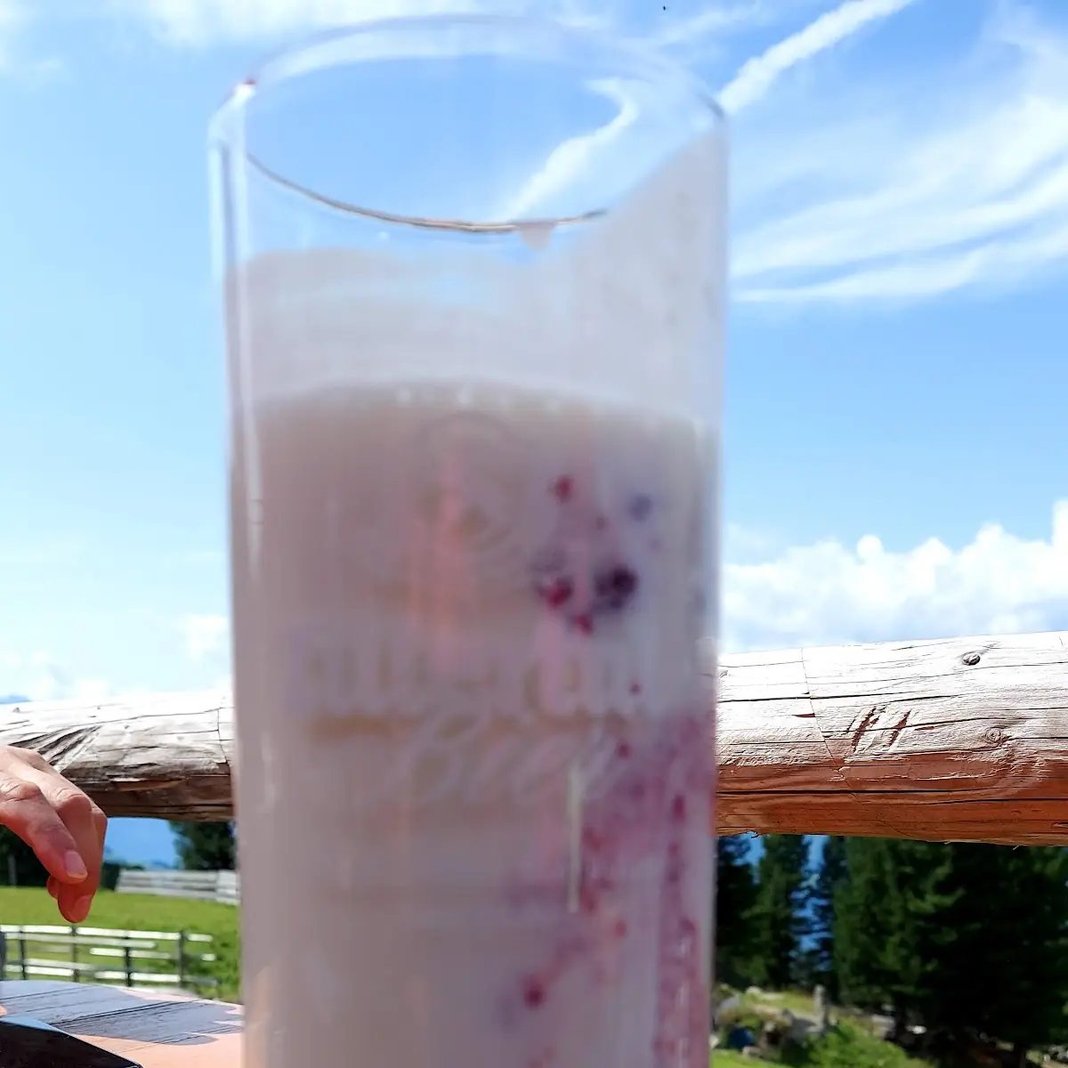 Naturjoghurt Mit Preiselbeeren