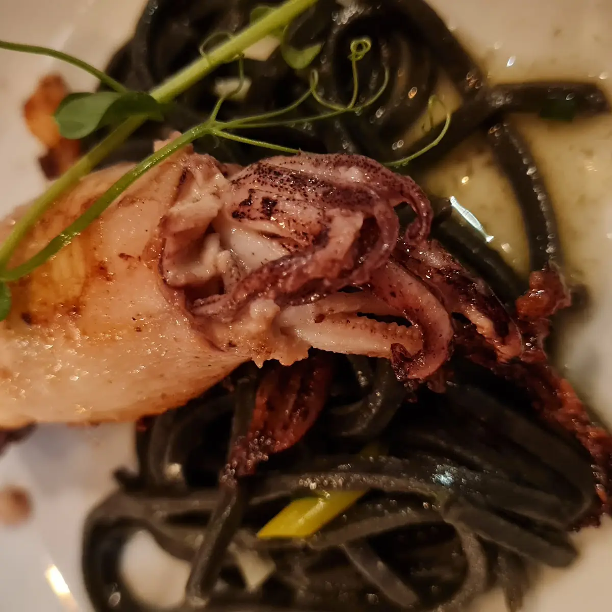 Tintenfisch