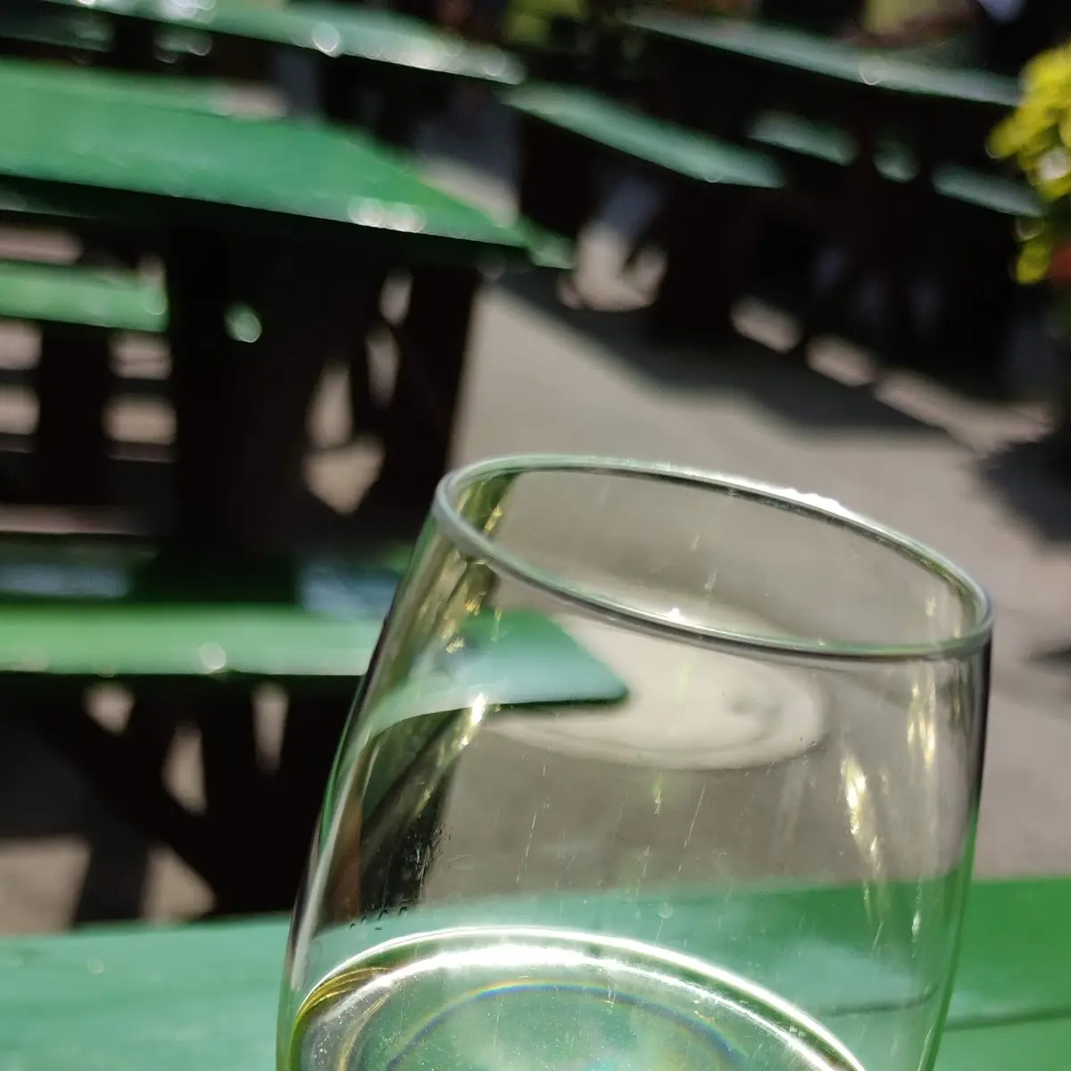 Grüner Veltliner