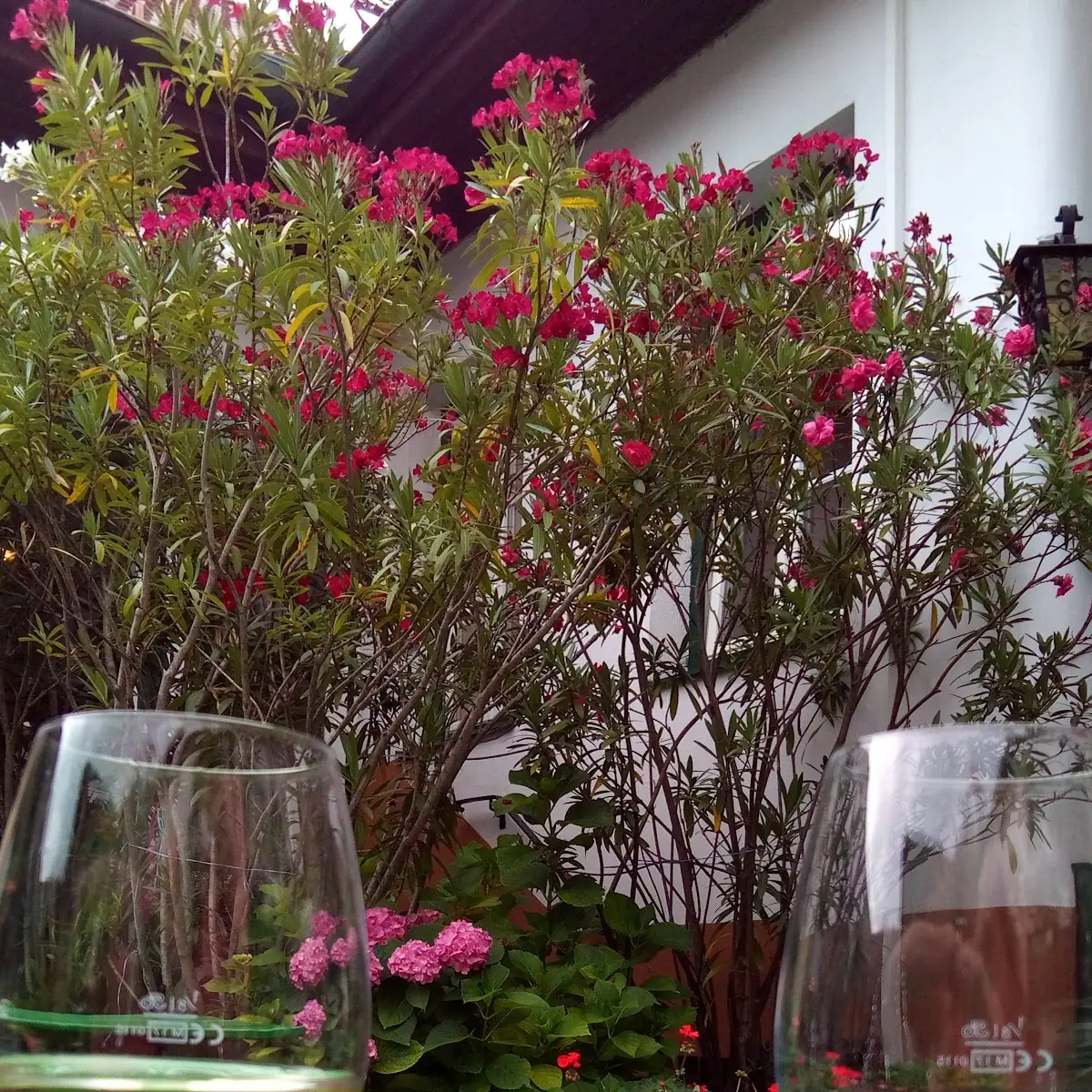 Wein