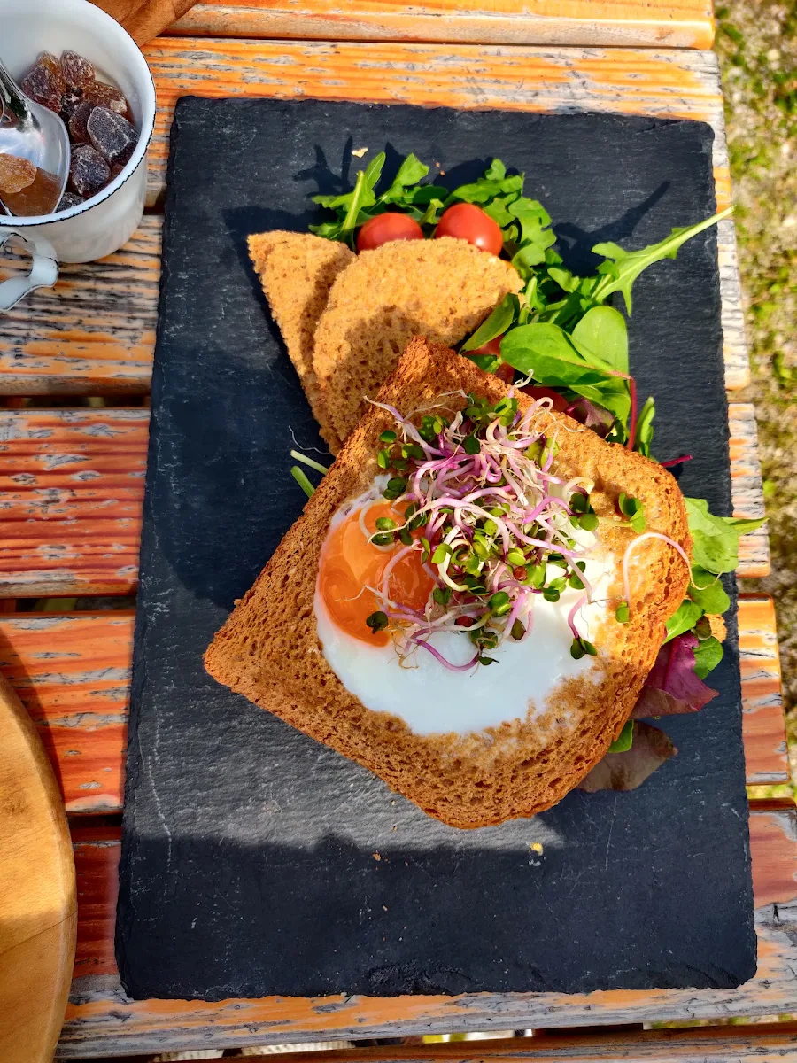 Rucola