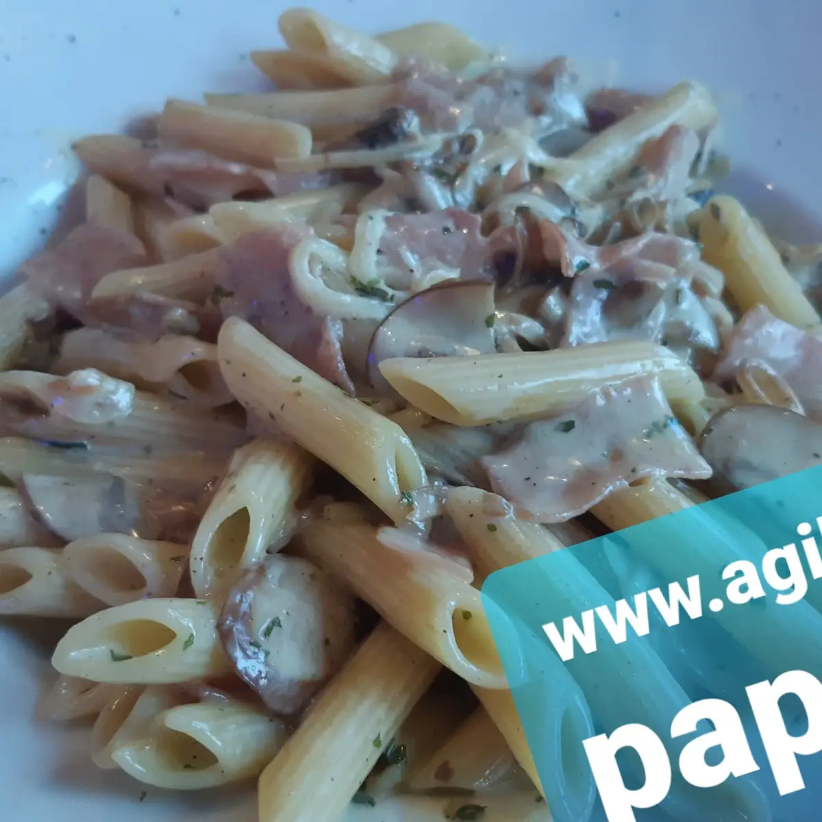 Penne Ovest