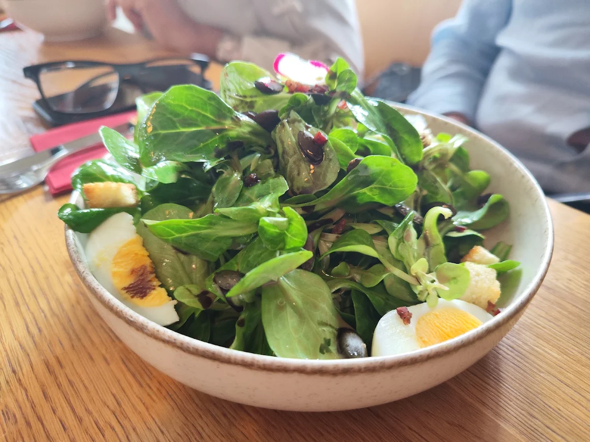 Vogelsalat