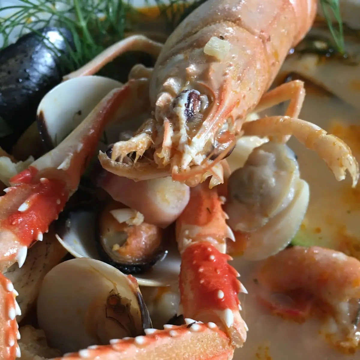 Fischsuppe