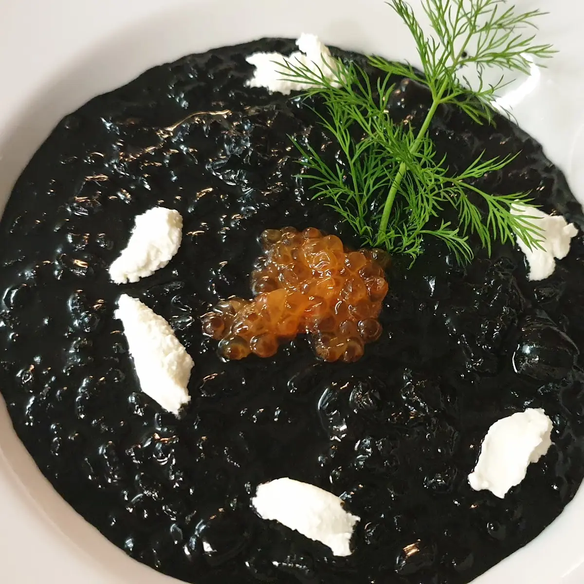 Schwarze Tintenfisch Risotto