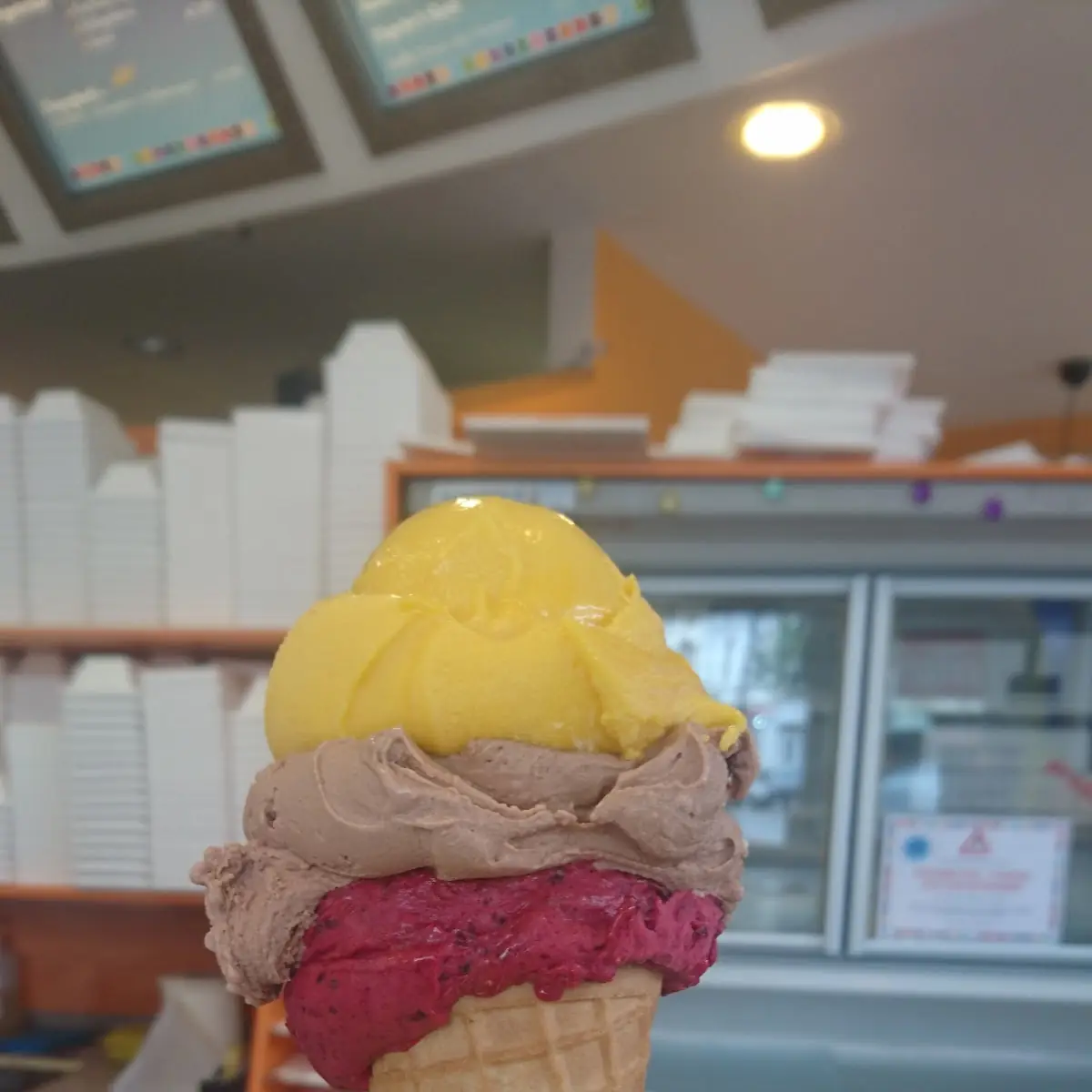 Eis Mango Heidelbeere Nocciolone