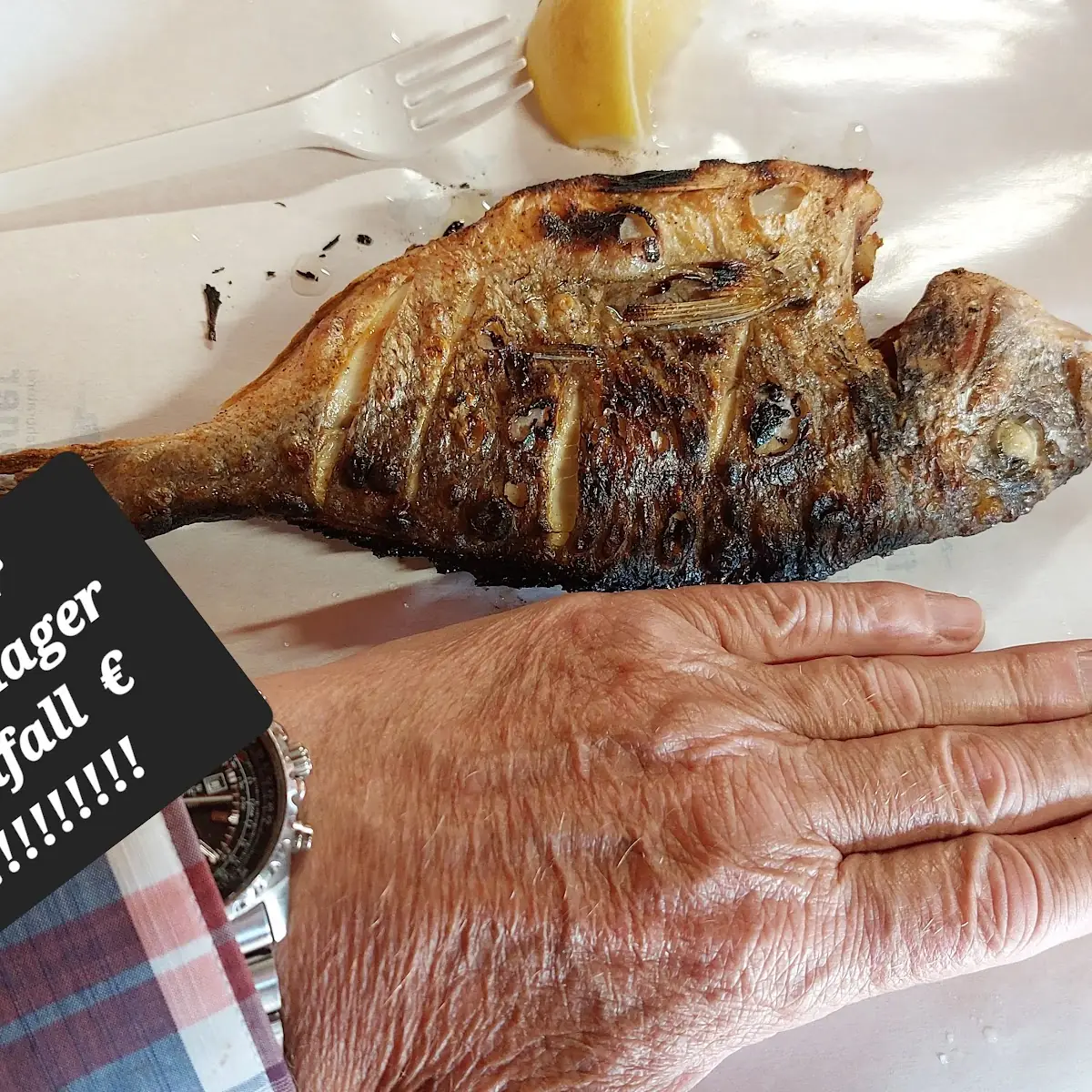 Das Soll Eine Dorade Sein