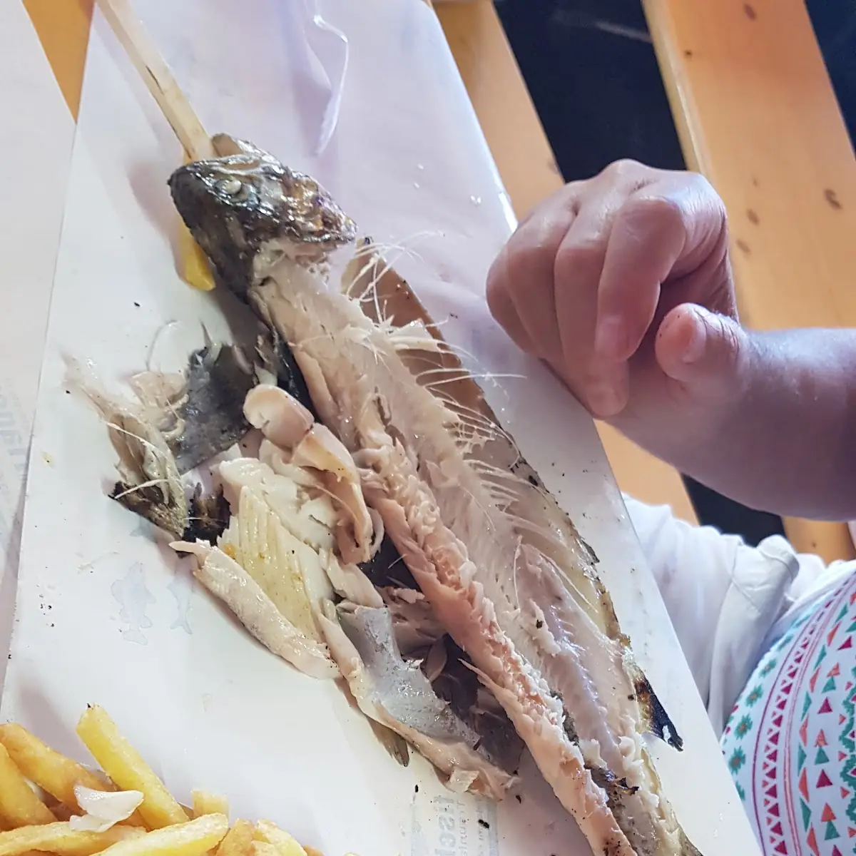 Pastrav La Grătar Cu Garnitura De Cartofi Prăjiți Sau Salata De Cartofi Delicios