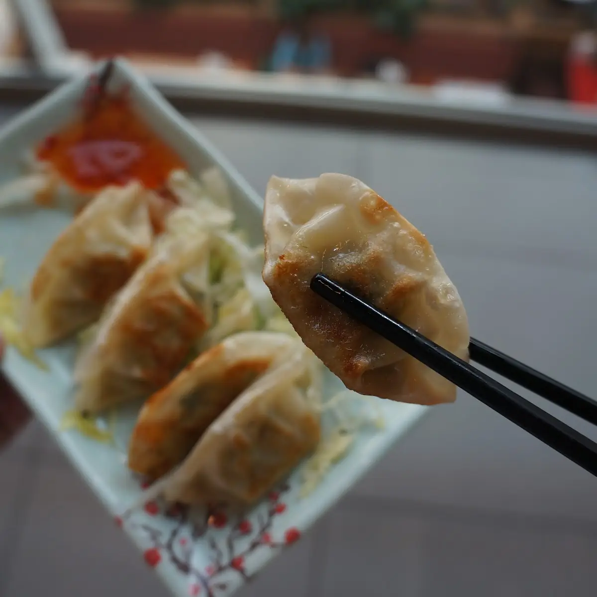 Gyoza Chicken