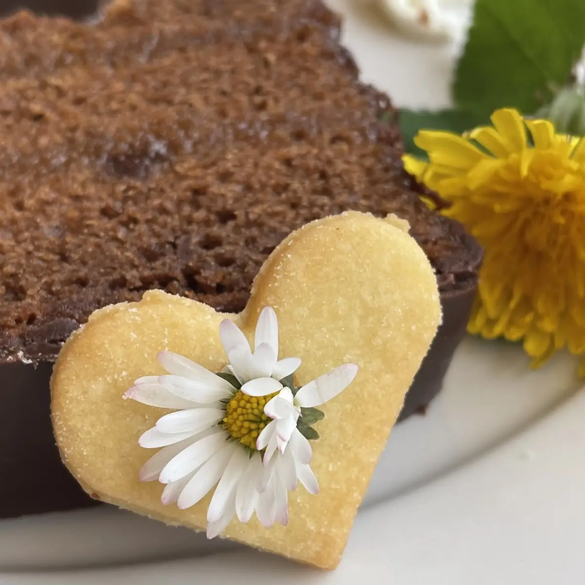 Schokokuchen