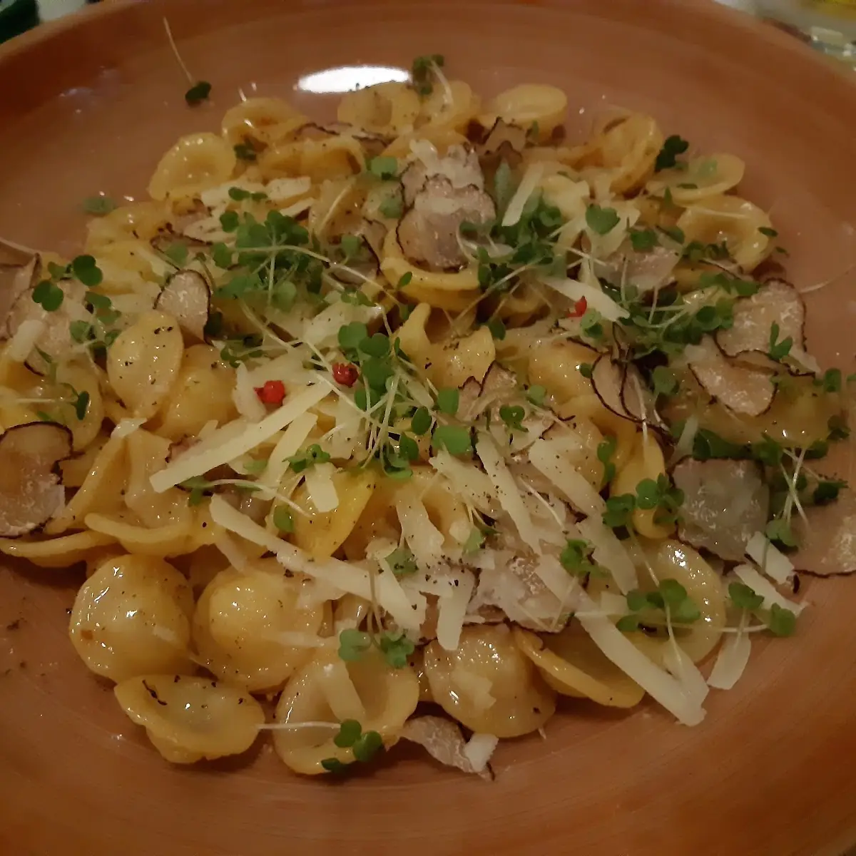 Orecchiette Con Tartuffi