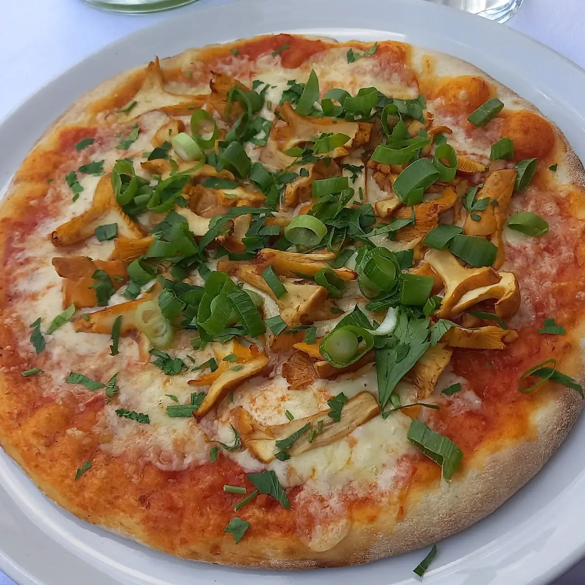 Pizza Cantorella - Eierschwammerl Pizza
