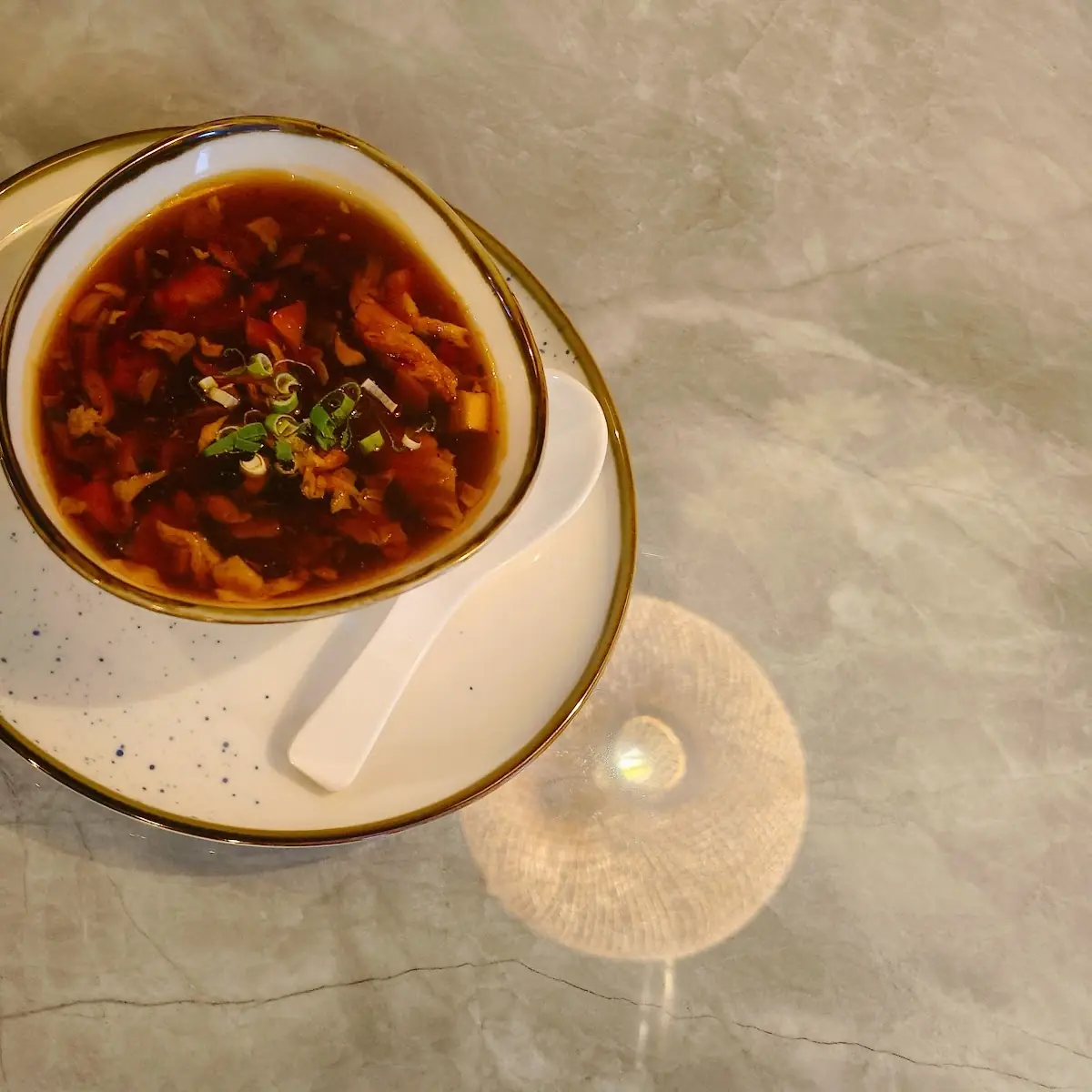 Pikant Säuerliche Suppe 15