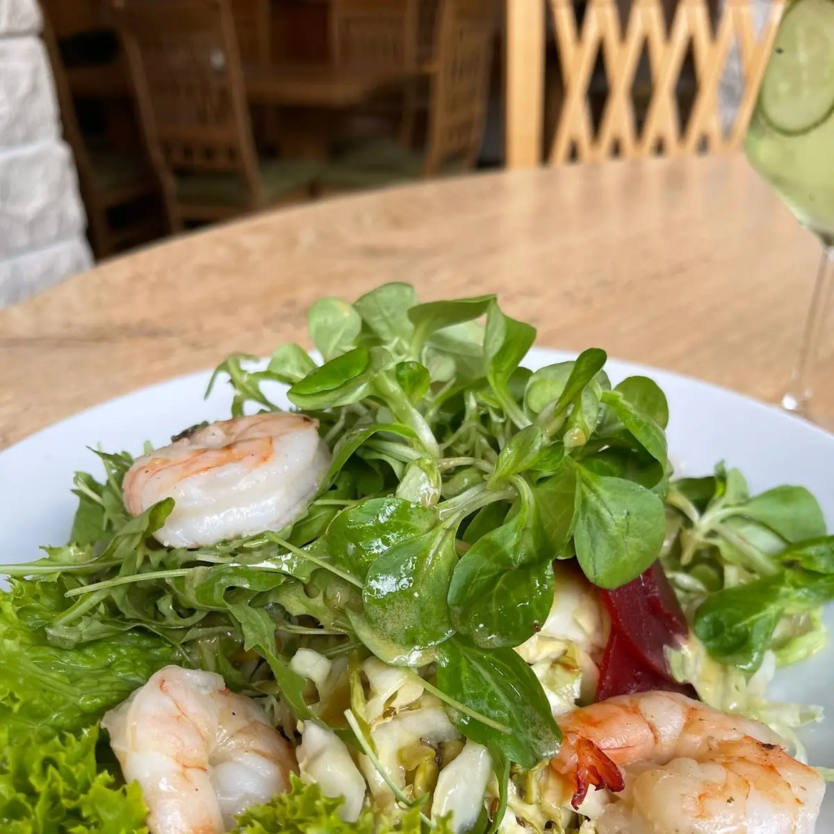 Gamba Salat