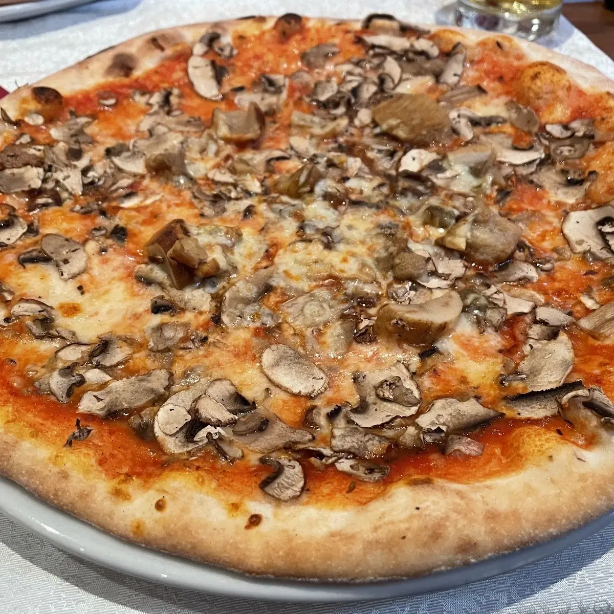 Funghi