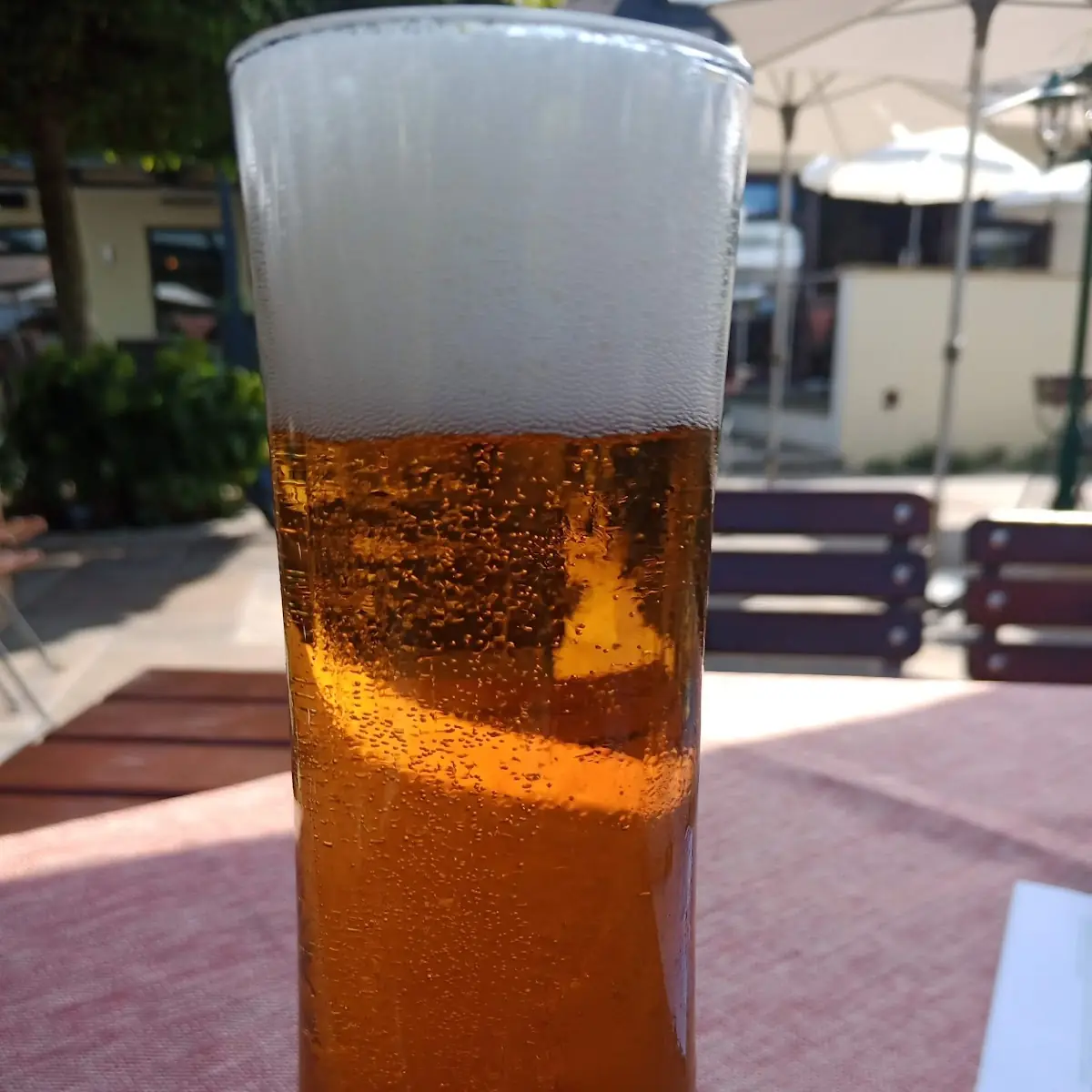 Bier