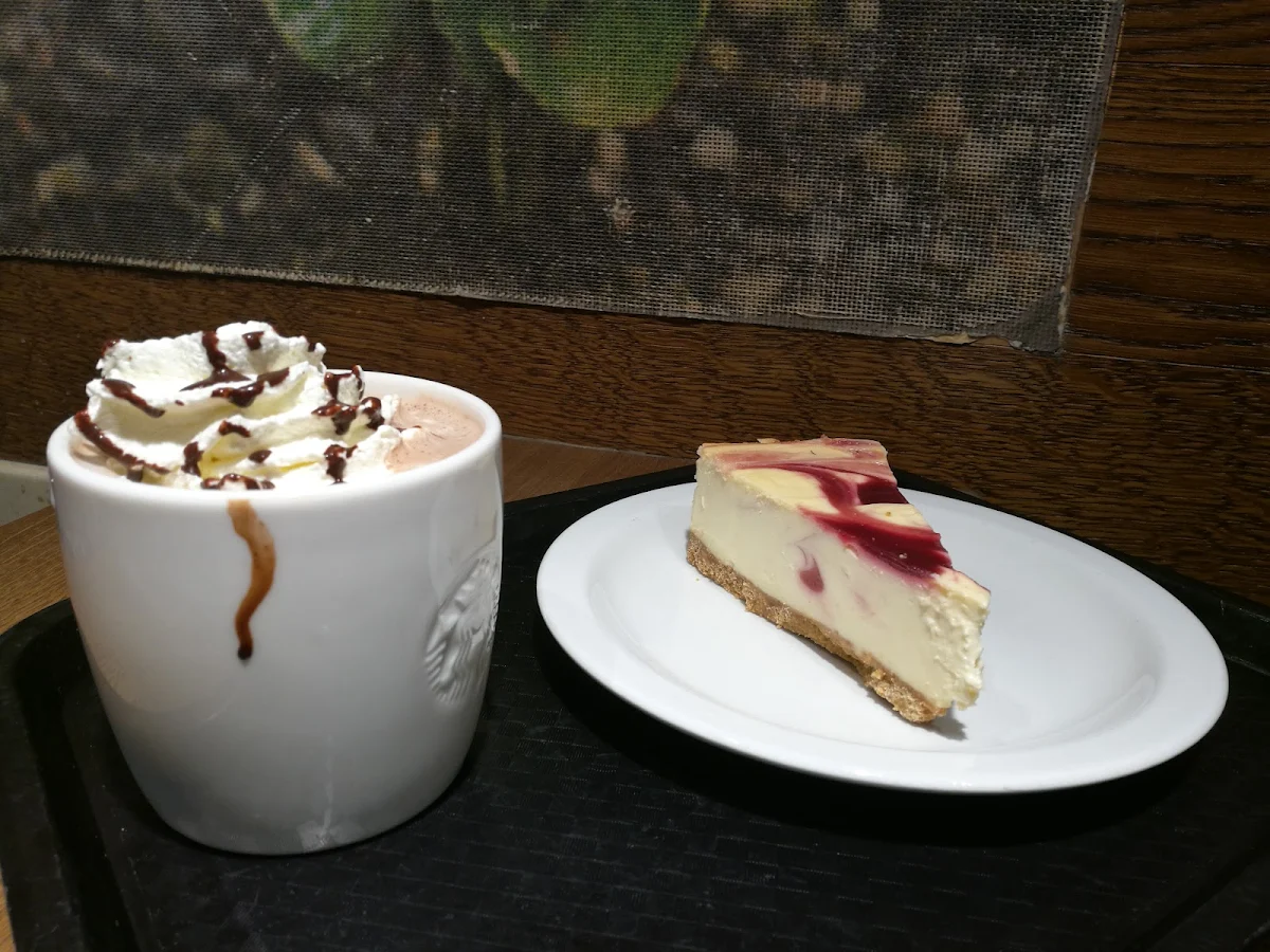 Cacao Chesscake