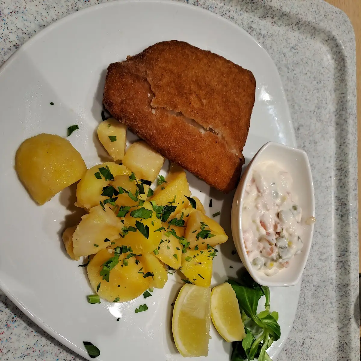 Fisch Teller